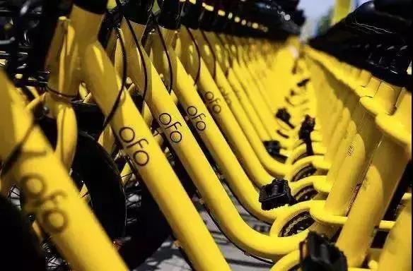 2022年的新鲜事,2019有哪些新鲜事