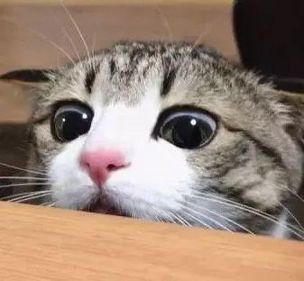 脱毛好物推荐,超平价脱毛推荐