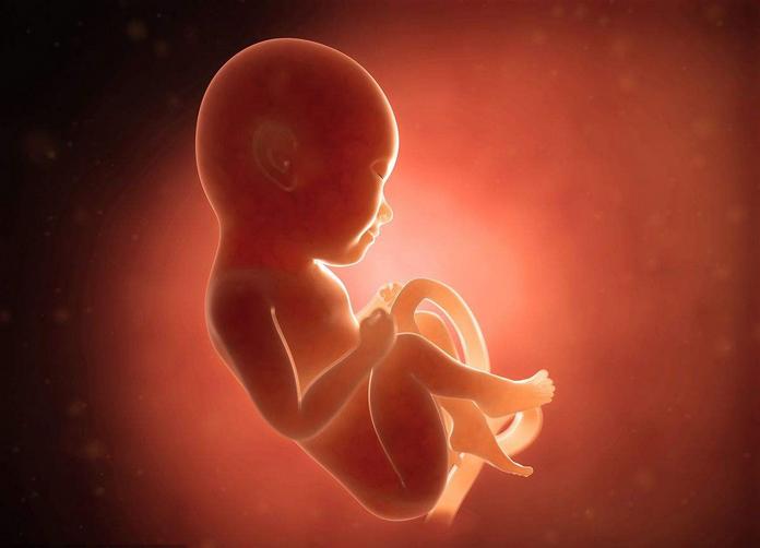 孕8个月宝宝生下来,怀孕8个月生下来的宝宝