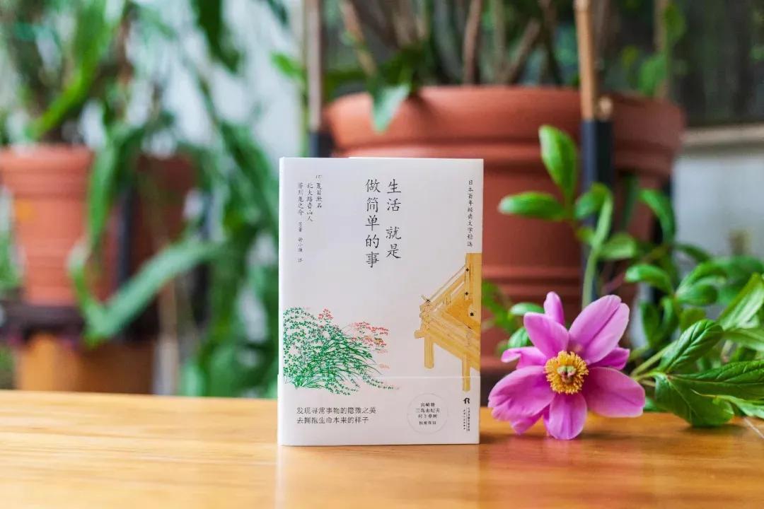 丁真的梦想是小马跑第一，为什么越简单的人设越圈粉？