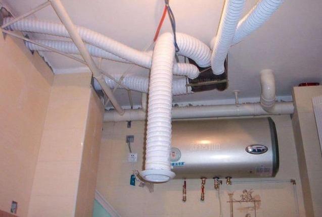 改善屋内空气妙招,房间里面有一股霉臭味怎么去除