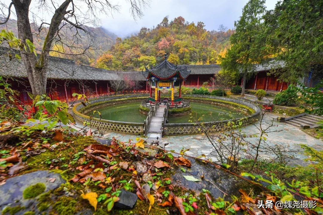 留坝秦岭之夜,留坝秦岭森林公园