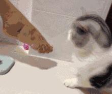 鞋子除臭简单有效的方法,鞋子除臭小妙招