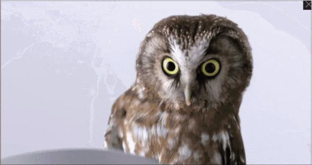 每秒7680帧慢拍！14根5G天线，华为Mate30发布，智慧屏也来了