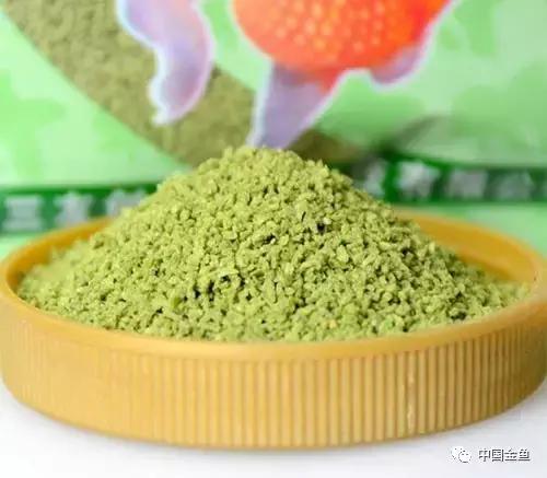 养金鱼的技巧和方法方便简单,初养金鱼的技巧和方法