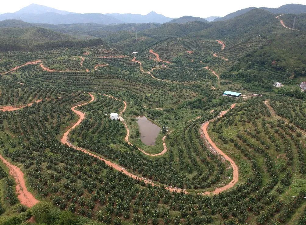广东惠州冷门宝藏旅游地,惠州宝藏打卡地