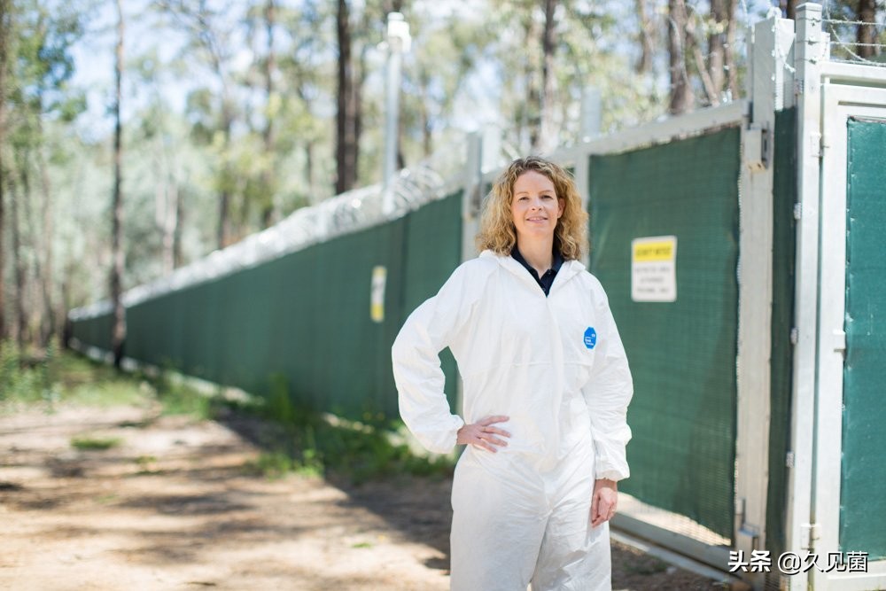 国外诈尸事件,世界上有没有诈尸事件