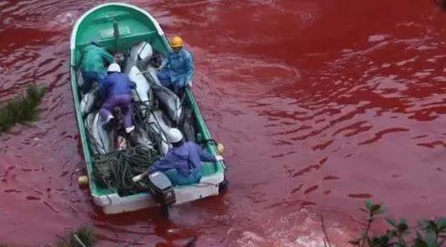 富二代人骨皮包的真实图片,人骨皮包真相曝光