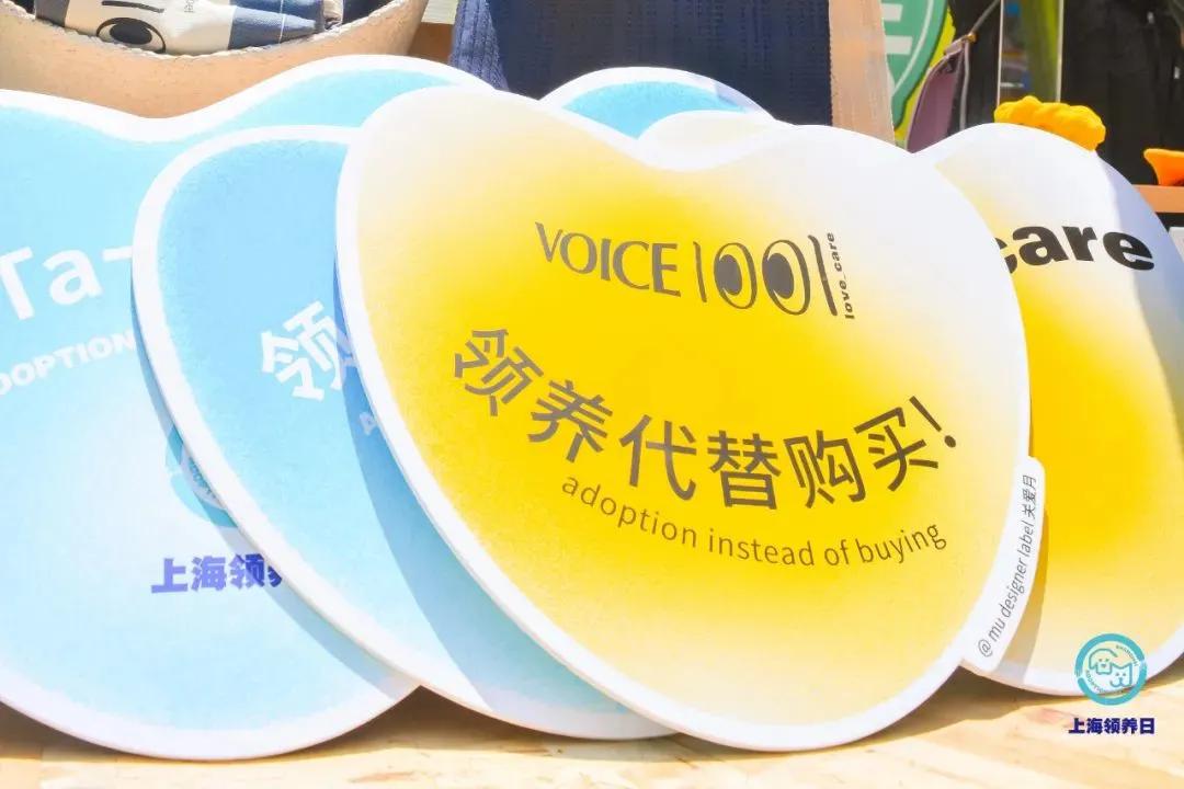 想领养狗狗却找不到地方,想领养一只猫咪又怕不会养