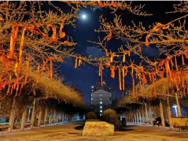 银行需要河北金融学院什么专业,银行专业学校