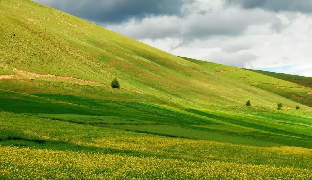 描写甘肃的爆火文章,一篇文章了解甘肃