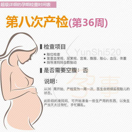 孕期b超检查时间表,详细孕期检查项目表