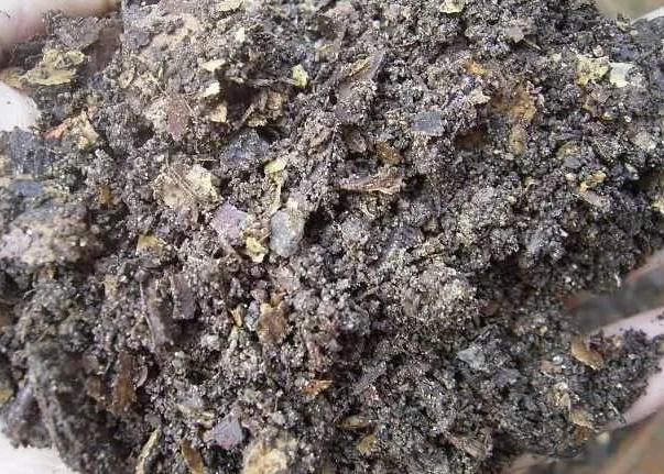 怎样制作适合花草生长的营养土,自制单纯种菜营养土最简单方法