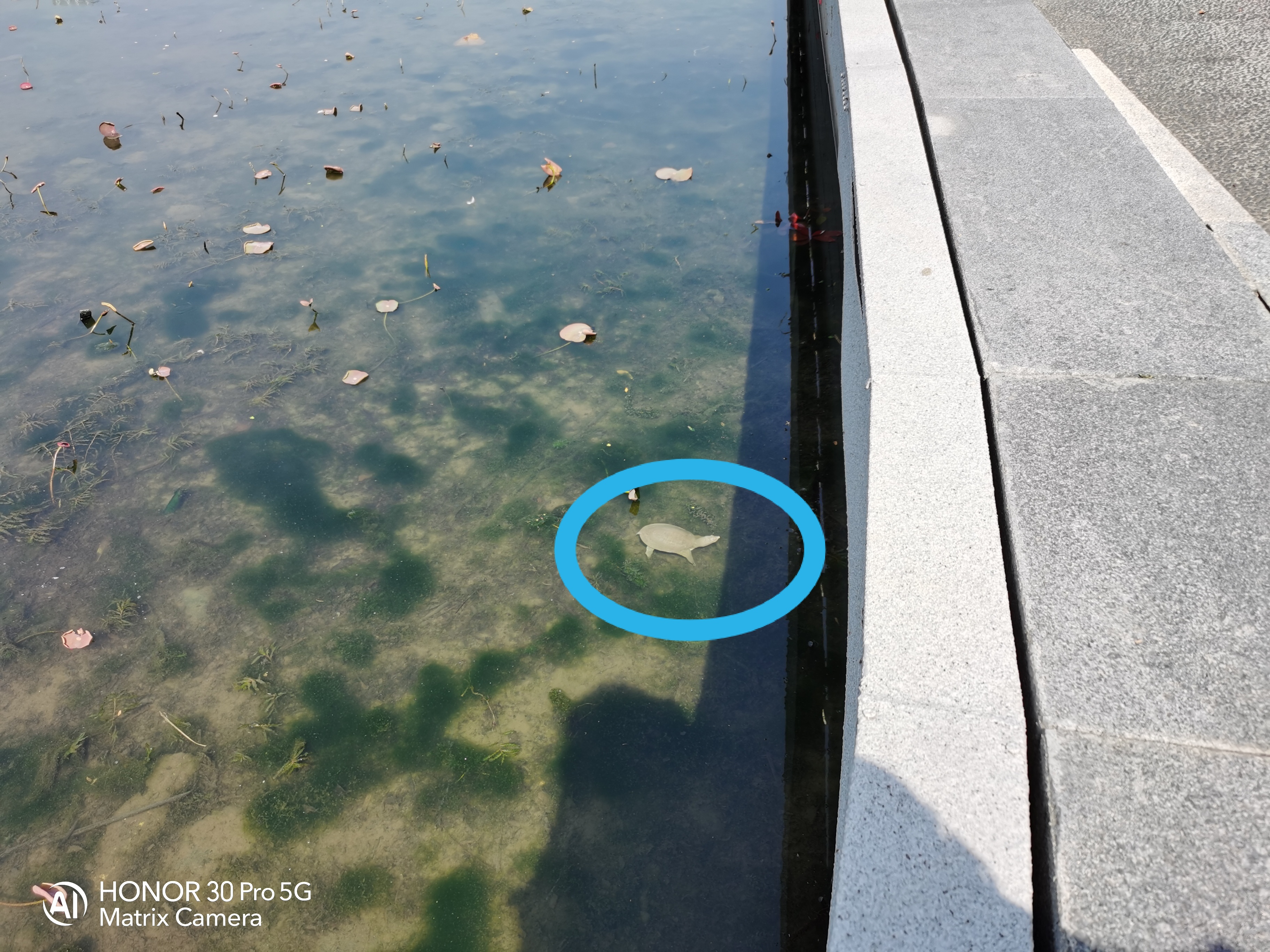 颜值能打100分吗,颜值能打三分吗