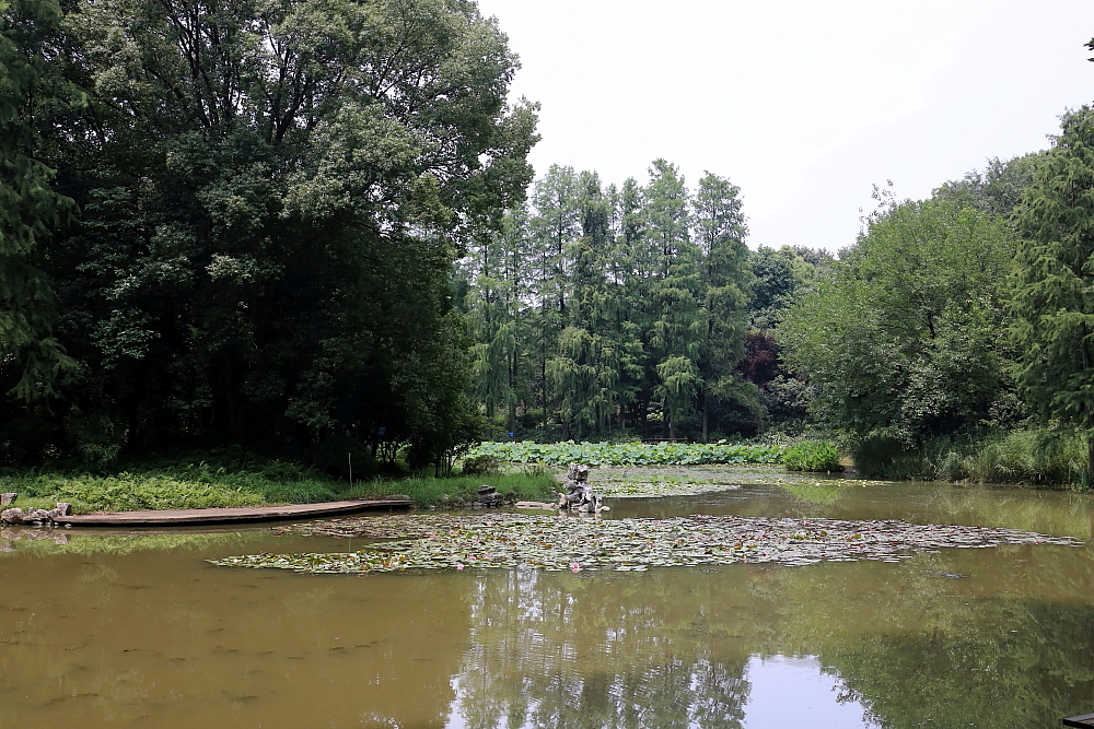 红河谷半音阶口琴独奏,12孔半音阶口琴演奏北国风光