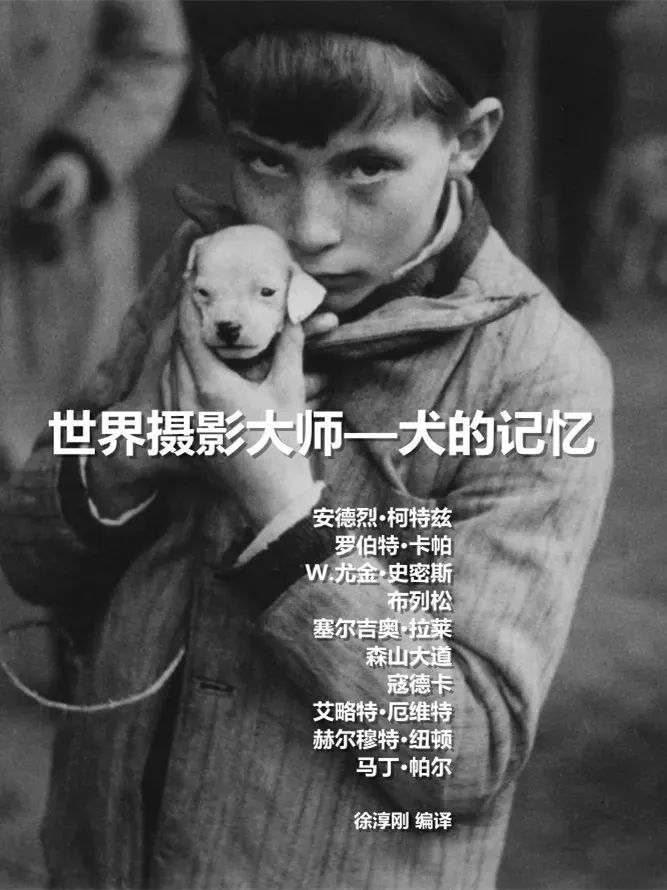 犬的记忆｜世界摄影经典