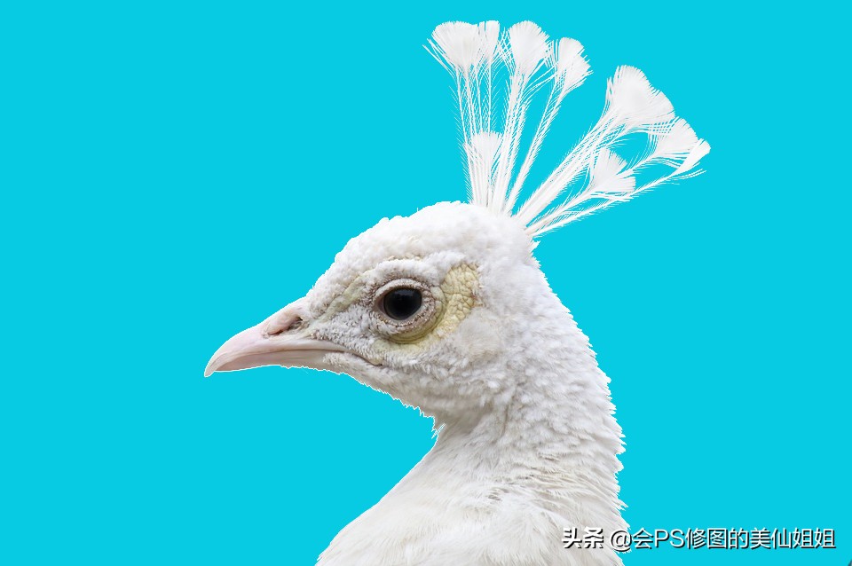 ps复杂人像通道抠图教程,ps通道混合器抠图教程