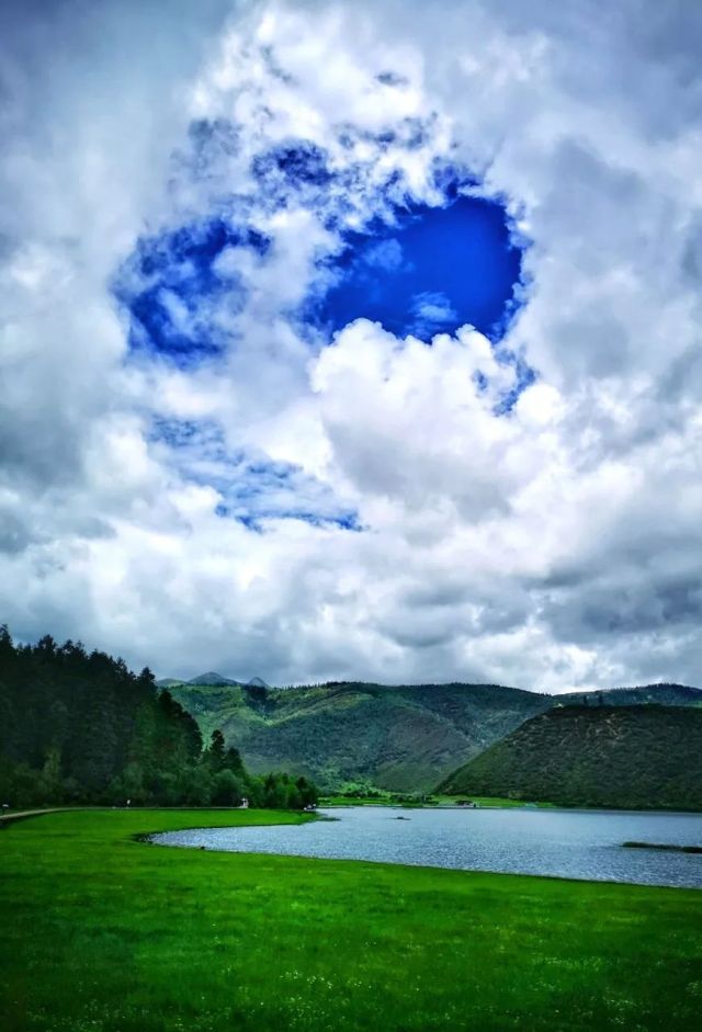 什么是云南品种,什么是云南的特色