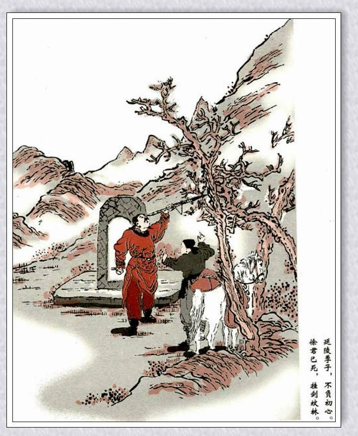 松树的魅力有多大,台湾松树和日本松树区别