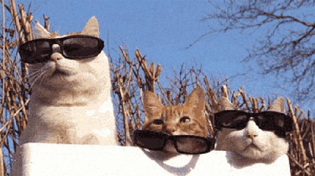 冬天补水护脸用什么,冬季脸上补水最好的办法