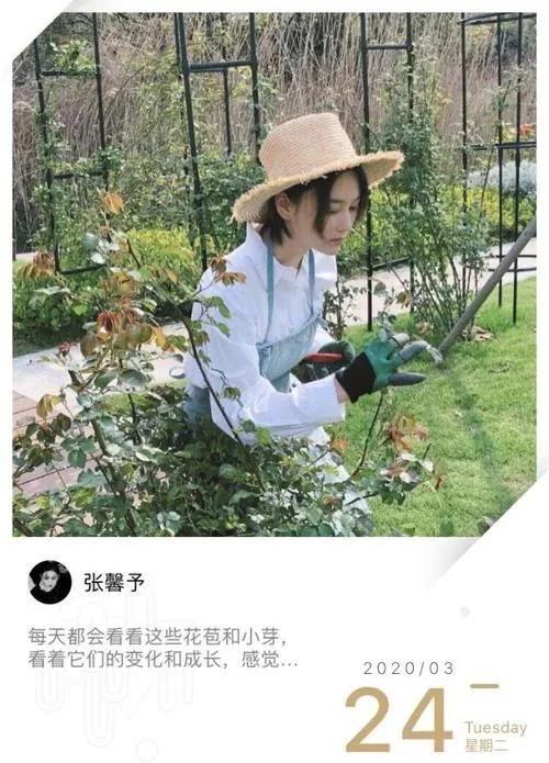 张馨予是不是娱乐圈最美的女明星,张馨予用一张照片成功迈进娱乐圈