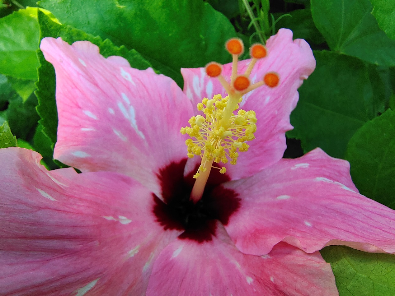 iqoo5全面评测超强性能无处妥协,iqoo5全面测评体验流畅舒适