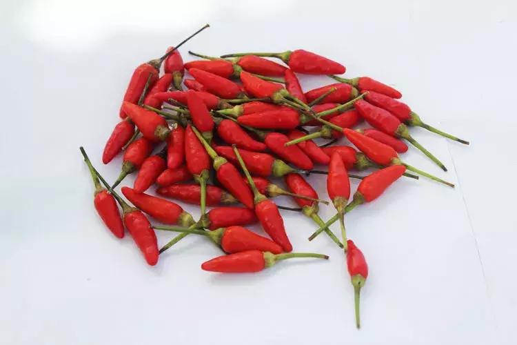 日本人喜欢辣椒吗 (日本人对辣椒的热爱)