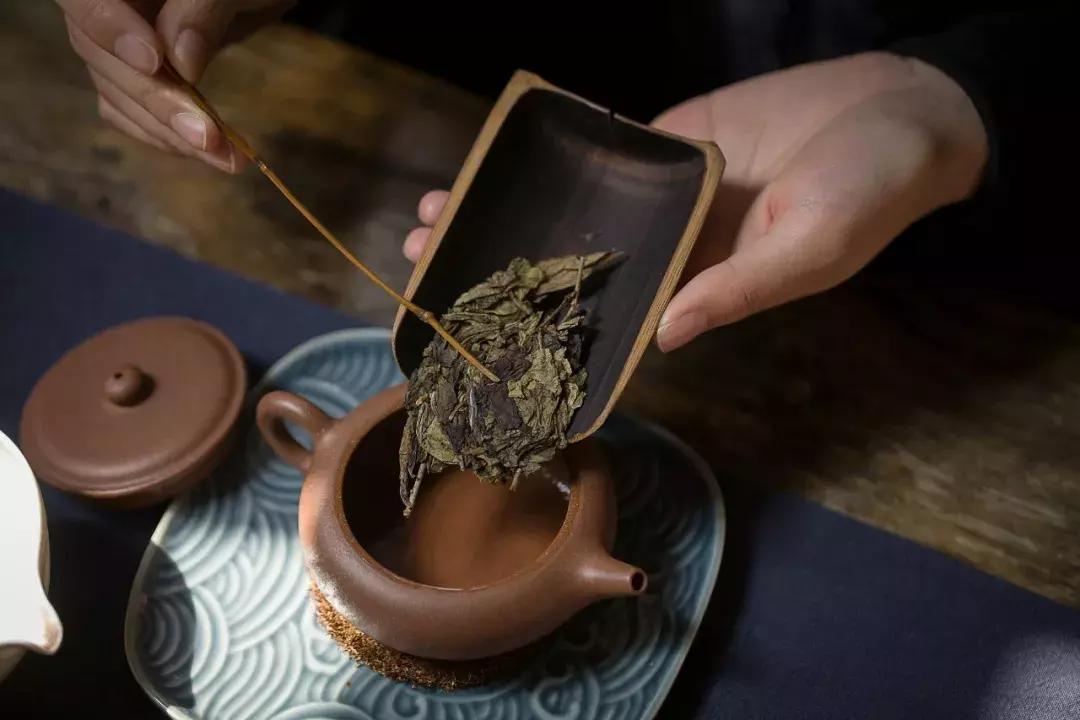 贡眉白茶和福鼎大毫茶口感,老白茶贡眉知识点