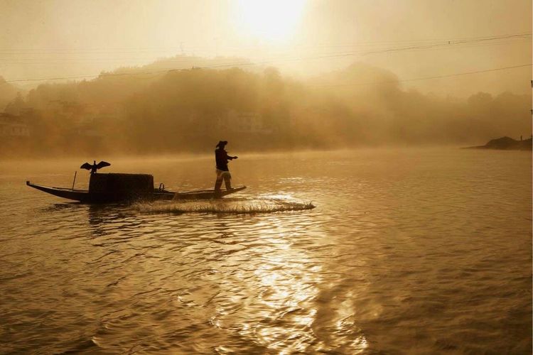 8月向日葵云海（徽州百工、黟县的朋友圈、瓷都景德镇）采风