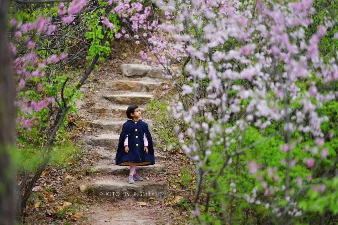 北京京郊童话树屋,台湾神奇的树屋