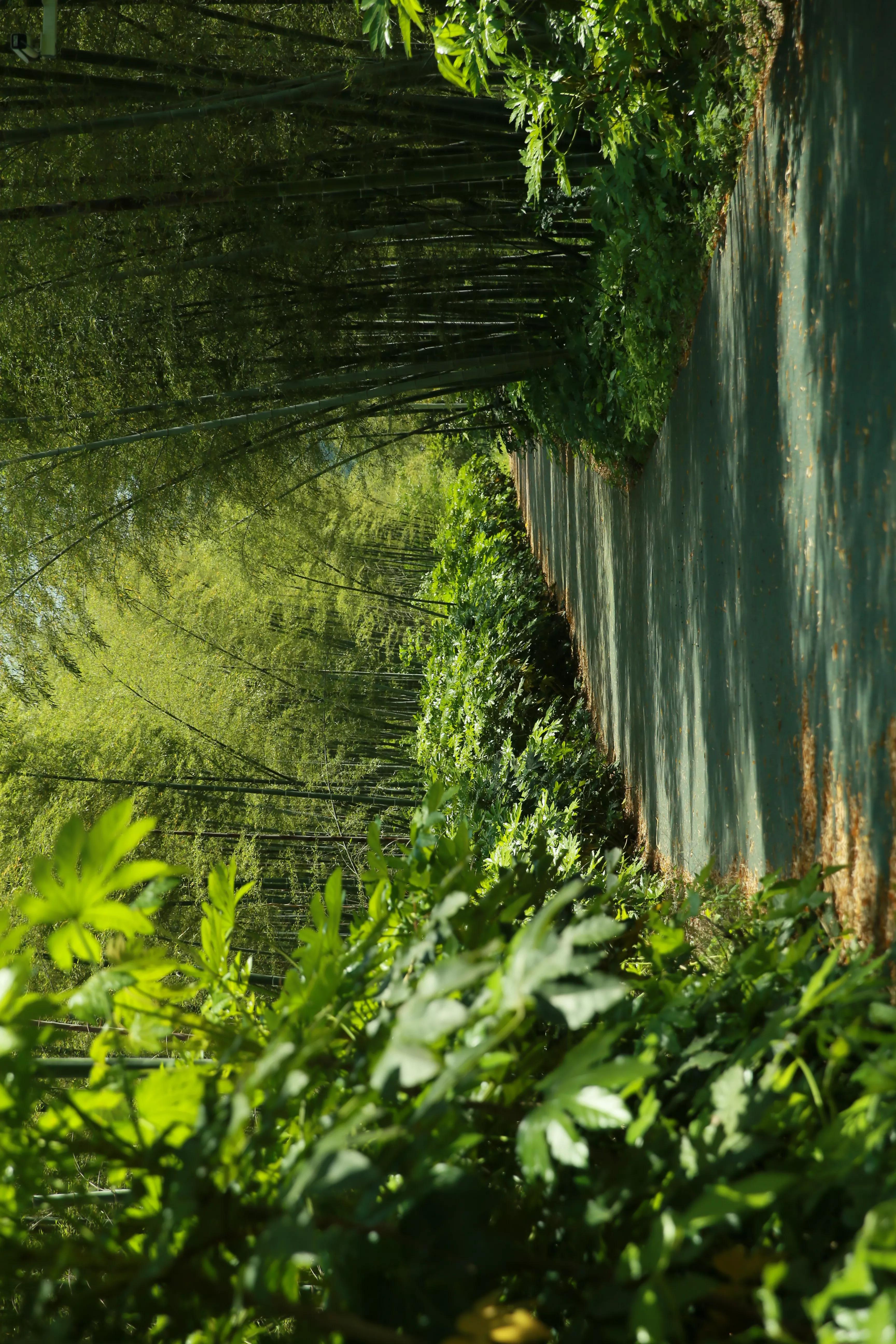 南京江宁区石塘竹海景区,石塘竹海附近有什么景点