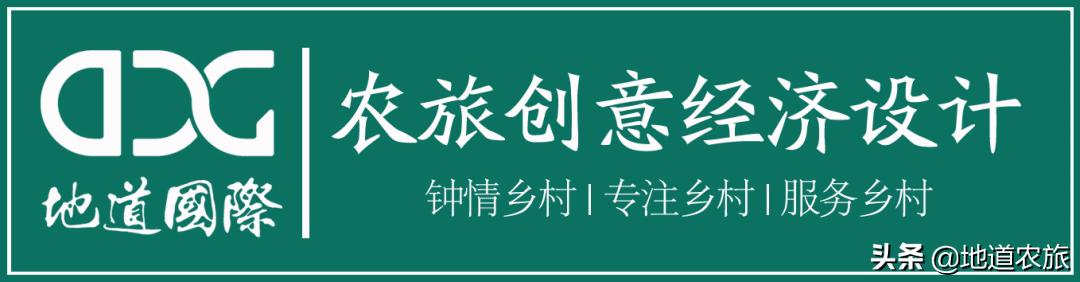 白山椴树蜜特产,白山市椴树蜜