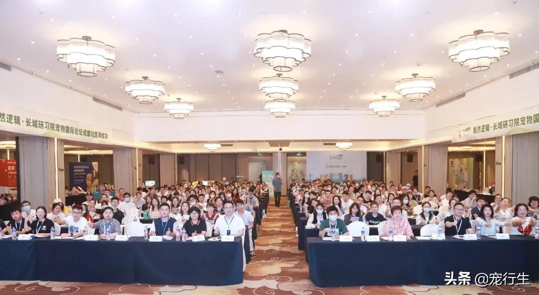 宠行生携手长城研习院开展线下课堂