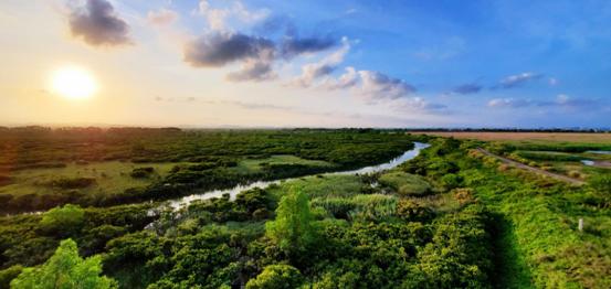 广西钦州碧桂园红树湾房价,钦州市碧桂园红树湾6号楼80平