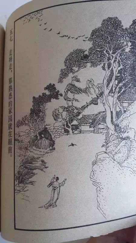 回忆童年马兰花,童年记忆里的马兰花