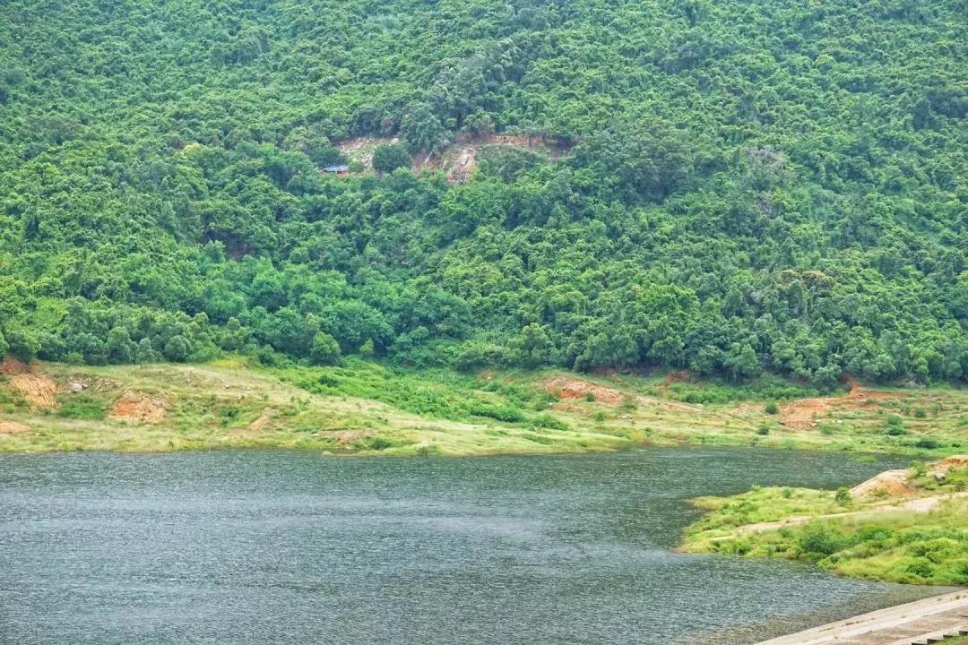 4号线值得逛的地方,9号线有什么地方可以玩