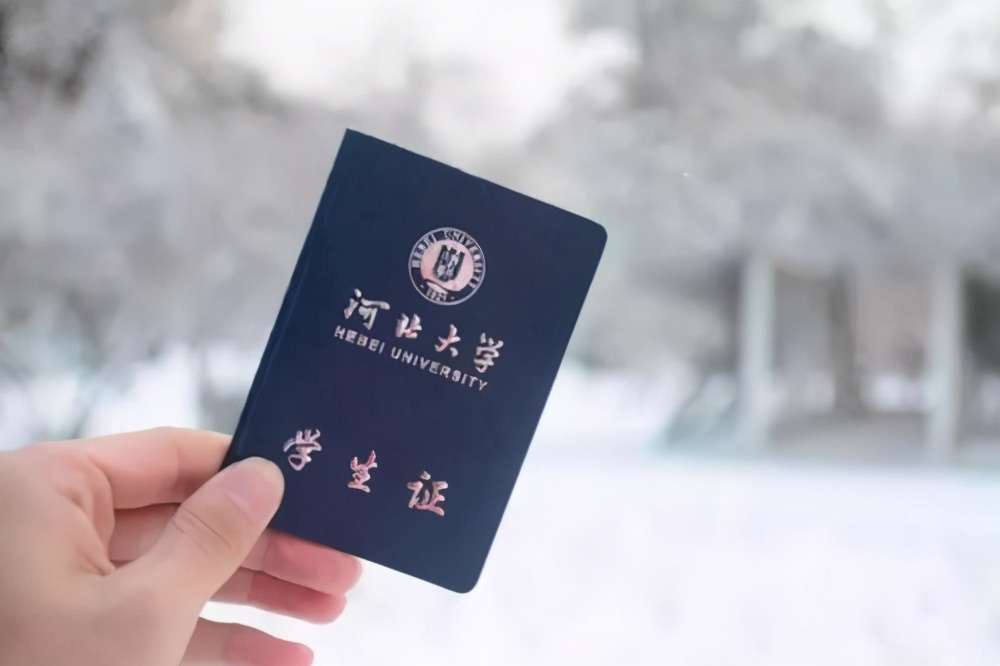 你有一份省钱攻略,你有一份追剧指南