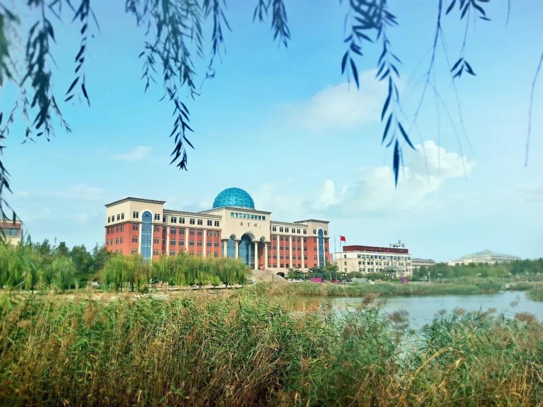南开大学滨海学院天津排名,天津曾经的滨海学院