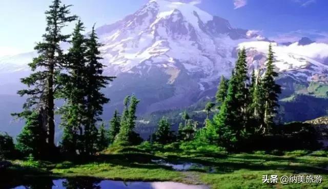 相约旅游景点大全,相约西双版纳旅游攻略