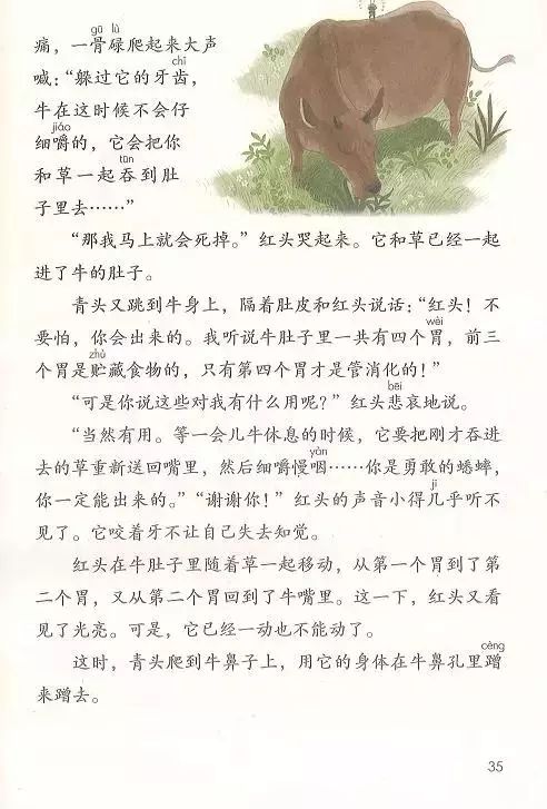 部编版语文三上知识点总结,三年级上必背知识点语文部编版