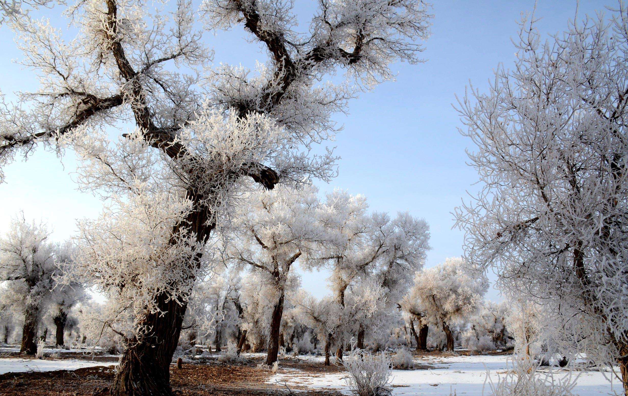 曾氏易讲堂38︱及早防范的重要性