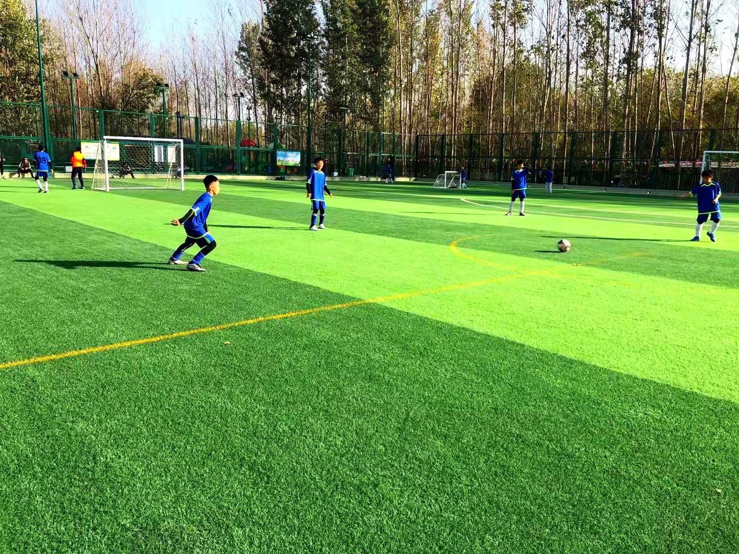 站前区区长杯小学生足球联赛,平顶山市长杯足球联赛小学2019