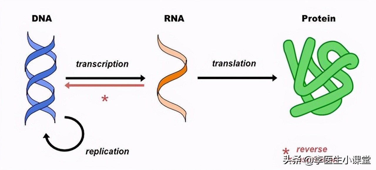 不同的阿奇霉素副作用不一样,阿奇霉素和头孢哪个消炎好一点
