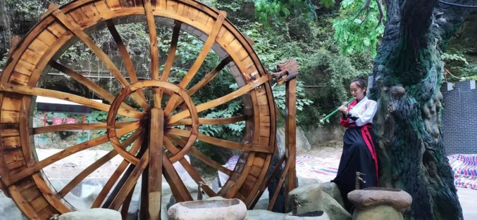 直播丨侠动北峰，一叶知秋