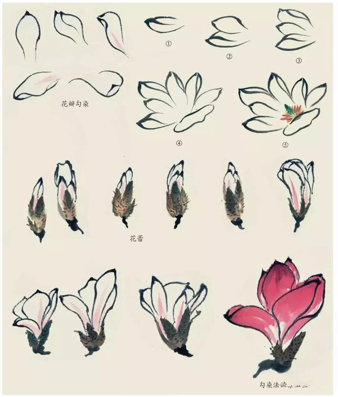 国画中各种花卉的画法,国画花卉画法步骤视频教程