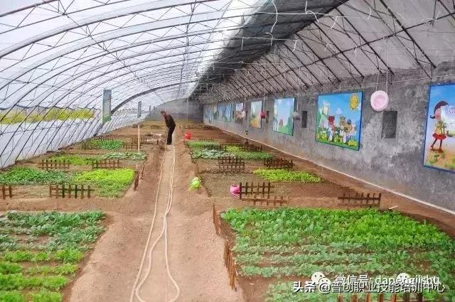 建一个温室大棚大概需要多少人工,温室大棚建造前景