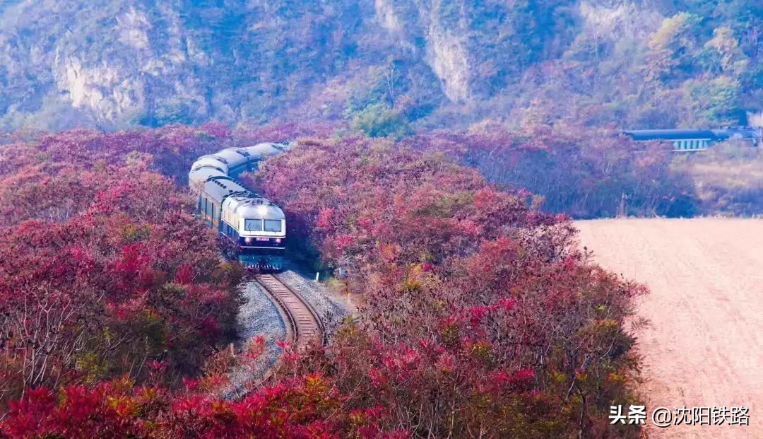 宝鸡绿巨人列车时刻表,沈阳铁路局绿巨人列车