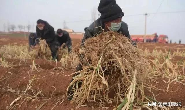 疫情期间你还熬得住吗,疫情我们能熬过去吗