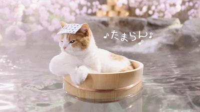 地派池畔,地派温泉度假酒店池畔别墅