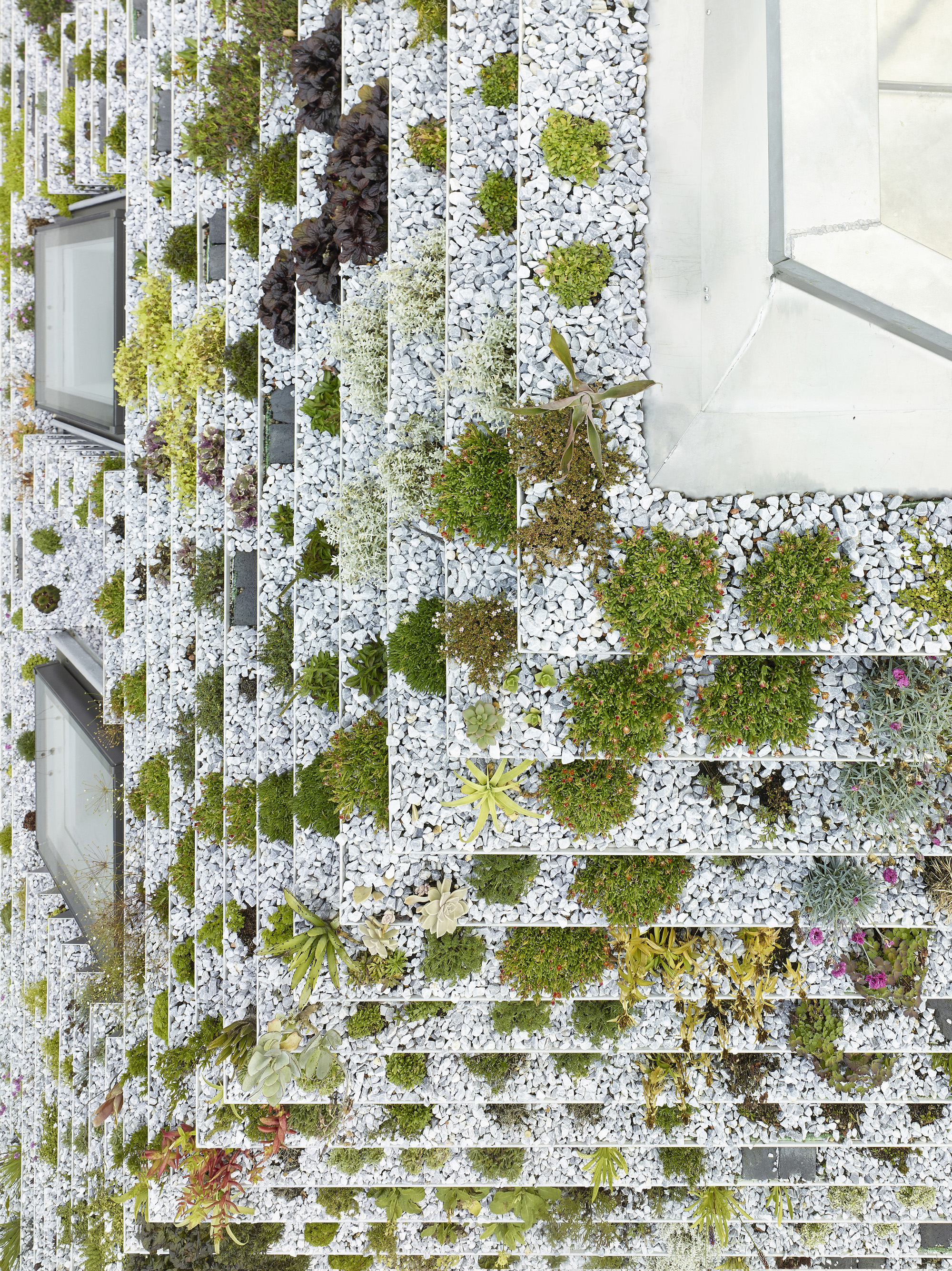 涓栫晫绾х煡鍚嶅缓绛戣璁″笀璞崕鍒,椤剁骇鑹烘湳瀹剁嫭鏍嬪埆澧呭钩闈㈣璁″浘